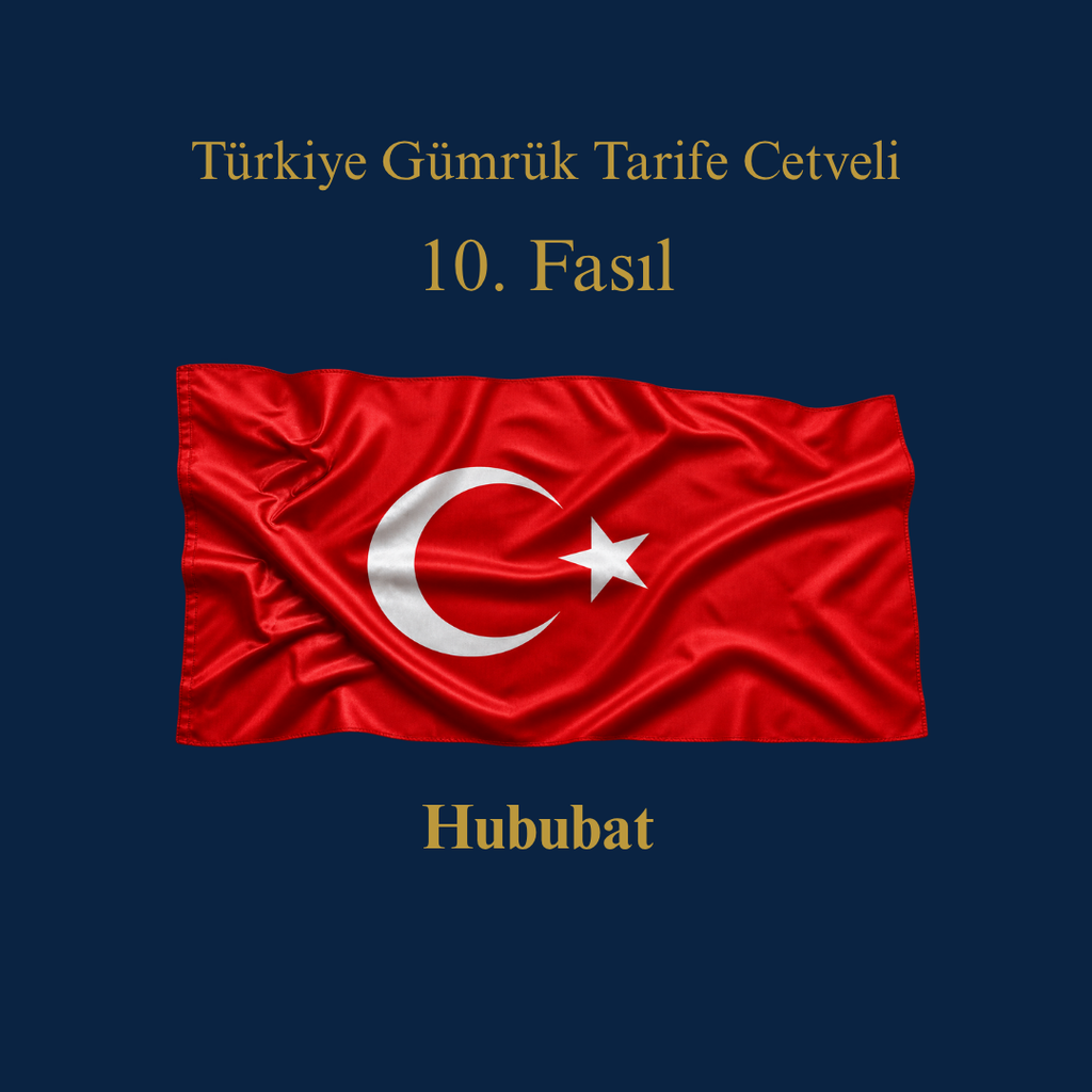 Türk Gümrük Tarife Cetveli Fasıl 10 Hububat