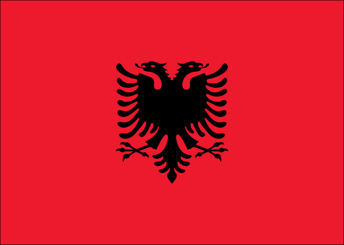 Albania Verified Importers and Exporters Database 49 Records