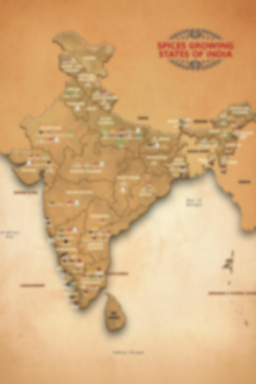 India Spices Map Free
