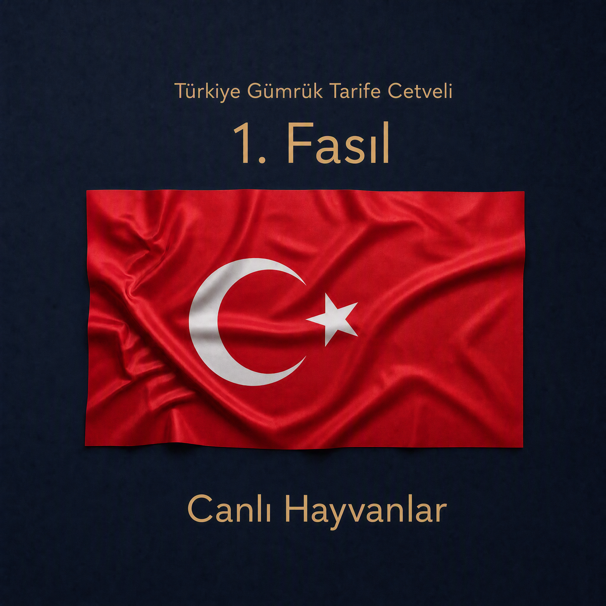 Türk Gümrük Tarife Cetveli Fasıl 01 Canlı Hayvanlar