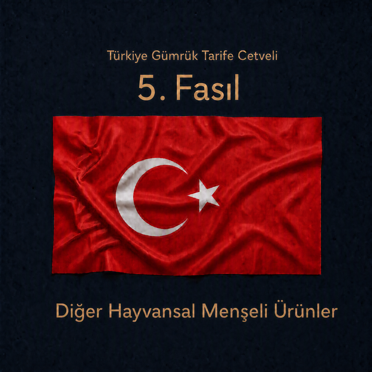 Türk Gümrük Tarife Cetveli Fasıl 05 Diğer Hayvansal Menşeli Ürünler