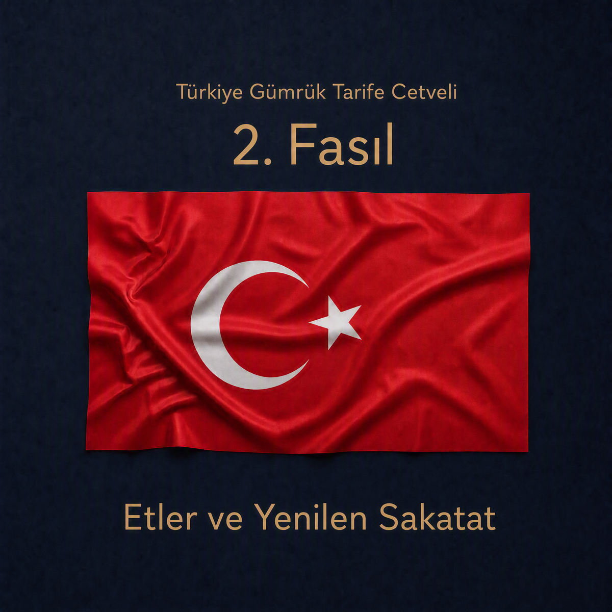Türk Gümrük Tarife Cetveli Fasıl 02 Etler ve Yenilen Sakatat