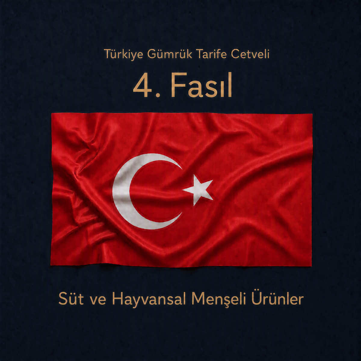 Türk Gümrük Tarife Cetveli Fasıl 04 Süt ve Hayvansal Menşeli Ürünler